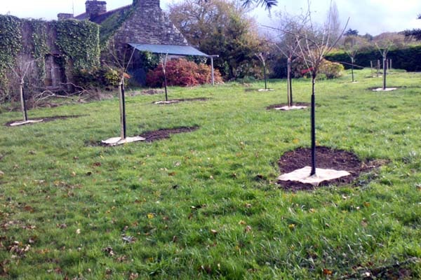 Création de jardin - Crozon - Finistère