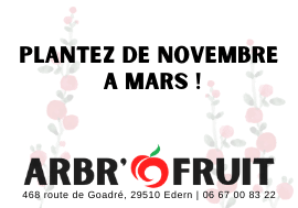 plantez de nov mars petit